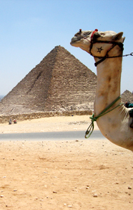 Cairo Excursions